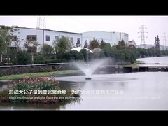 Fluoreszierendes Monomer